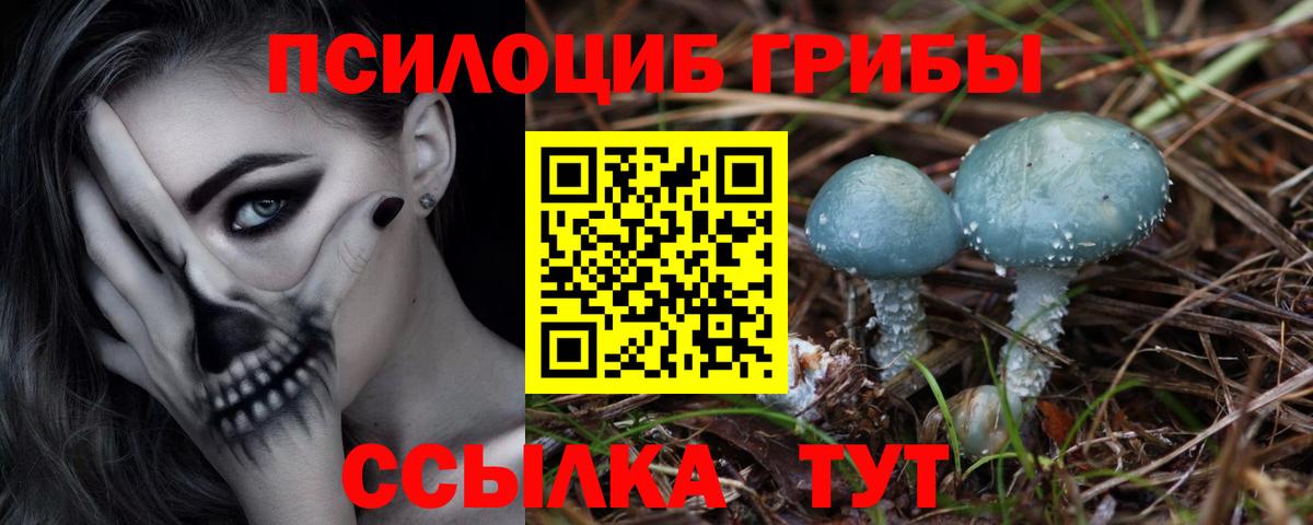 Галлюциногенные грибы прущие грибы  Галлюциногенные грибы прущие грибы  Полысаево  Вход с VPN 
