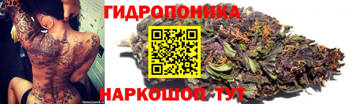 Бошки Шишки гибрид Полысаево